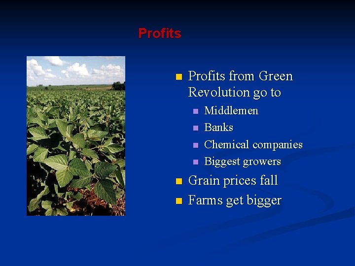 Profits n Profits from Green Revolution go to n n n Middlemen Banks Chemical