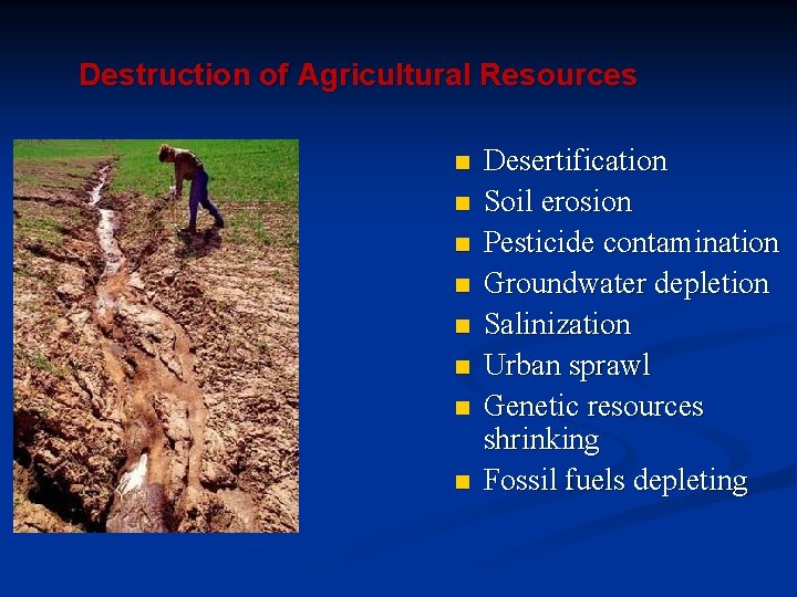 Destruction of Agricultural Resources n n n n Desertification Soil erosion Pesticide contamination Groundwater