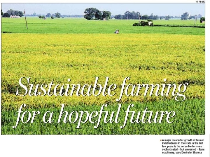 Sustainable Agriculture Goals n n n Environmental Health Economic Profitability Social and Economic Equity