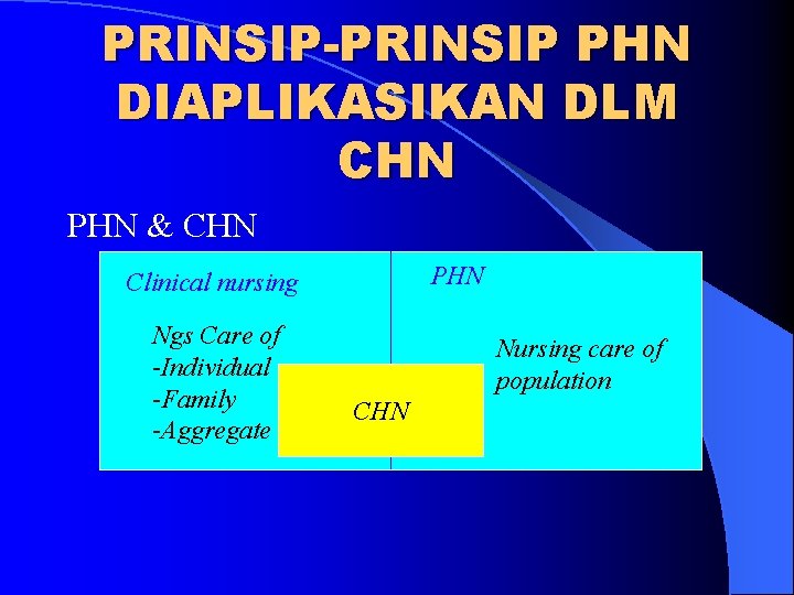 PRINSIP-PRINSIP PHN DIAPLIKASIKAN DLM CHN PHN & CHN PHN Clinical nursing Ngs Care of