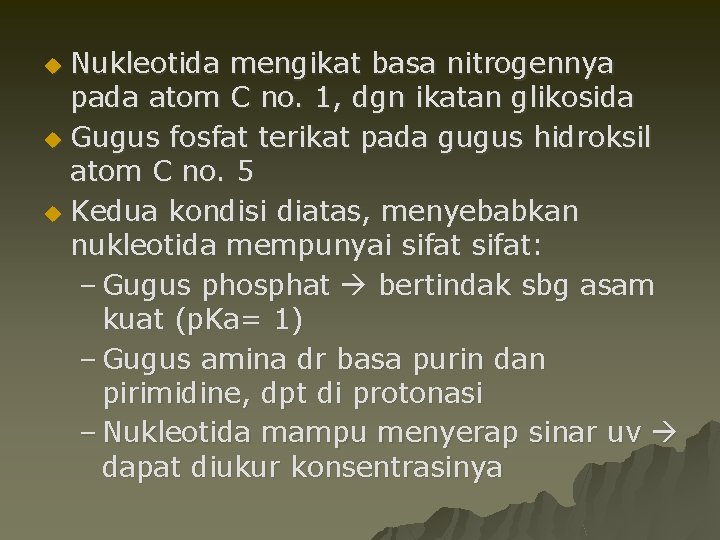 Nukleotida mengikat basa nitrogennya pada atom C no. 1, dgn ikatan glikosida u Gugus