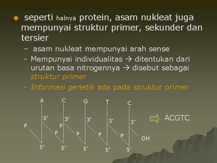 u seperti halnya protein, asam nukleat juga mempunyai struktur primer, sekunder dan tersier –