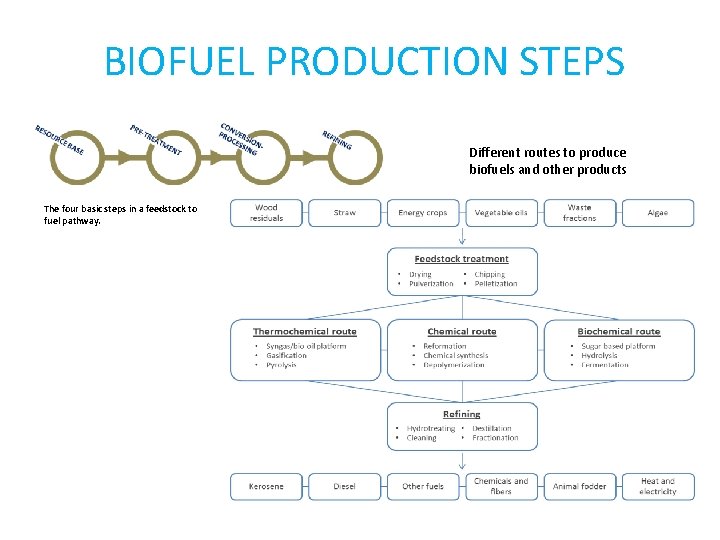 BIOFUEL PRODUCTION STEPS Different routes to produce biofuels and other products The four basic