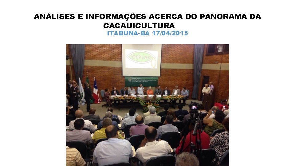 ANÁLISES E INFORMAÇÕES ACERCA DO PANORAMA DA CACAUICULTURA ITABUNA-BA 17/04/2015 