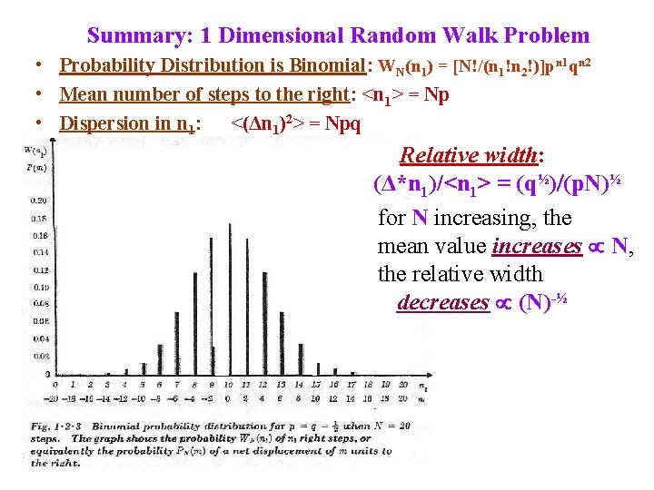 Summary: 1 Dimensional Random Walk Problem • Probability Distribution is Binomial: WN(n 1) =