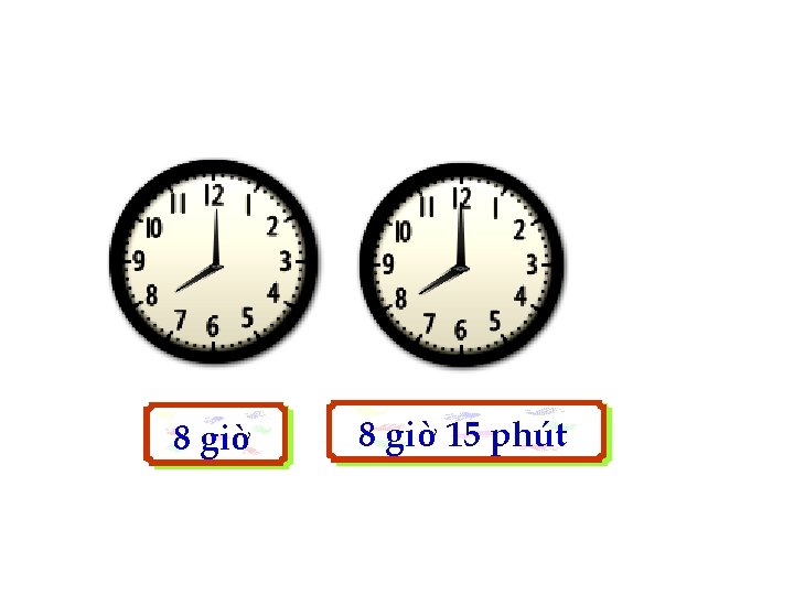 8 giờ 15 phút 