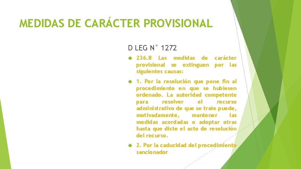 MEDIDAS DE CARÁCTER PROVISIONAL D LEG N° 1272 236. 8 Las medidas de provisional