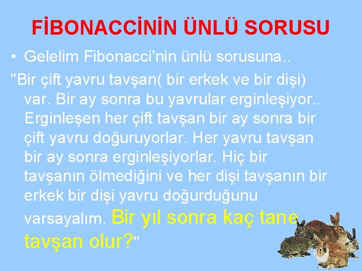 FİBONACCİNİN ÜNLÜ SORUSU • Gelelim Fibonacci'nin ünlü sorusuna. . "Bir çift yavru tavşan( bir