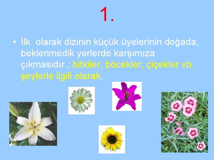 1. • İlk olarak dizinin küçük üyelerinin doğada, beklenmedik yerlerde karşımıza çıkmasıdır. ; bitkiler,