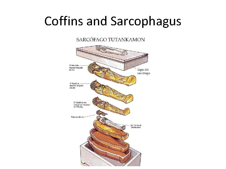Coffins and Sarcophagus 