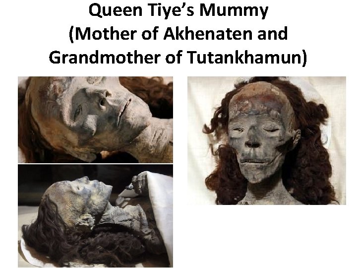 Queen Tiye’s Mummy (Mother of Akhenaten and Grandmother of Tutankhamun) 