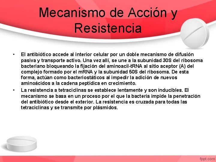 Mecanismo de Acción y Resistencia • • El antibiótico accede al interior celular por