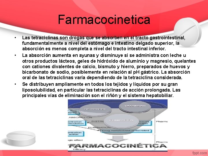 Farmacocinetica • • • Las tetraciclinas son drogas que se absorben en el tracto