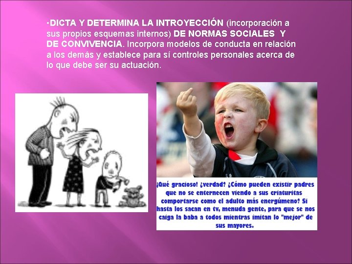  • DICTA Y DETERMINA LA INTROYECCIÓN (incorporación a sus propios esquemas internos) DE