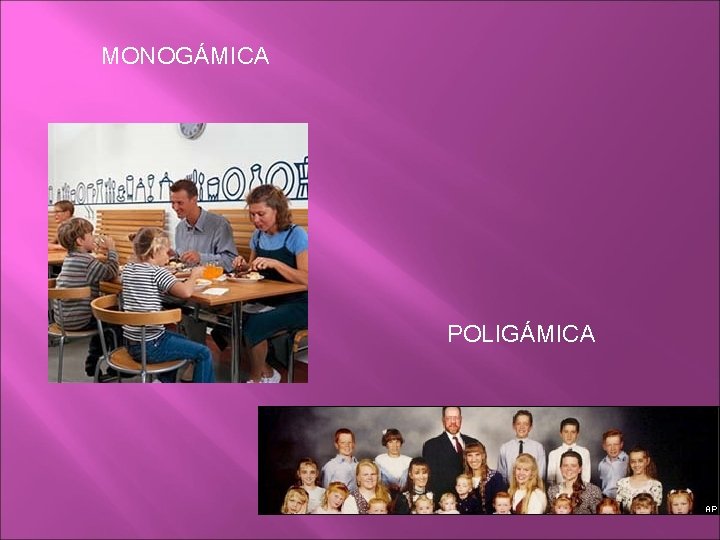 MONOGÁMICA POLIGÁMICA 