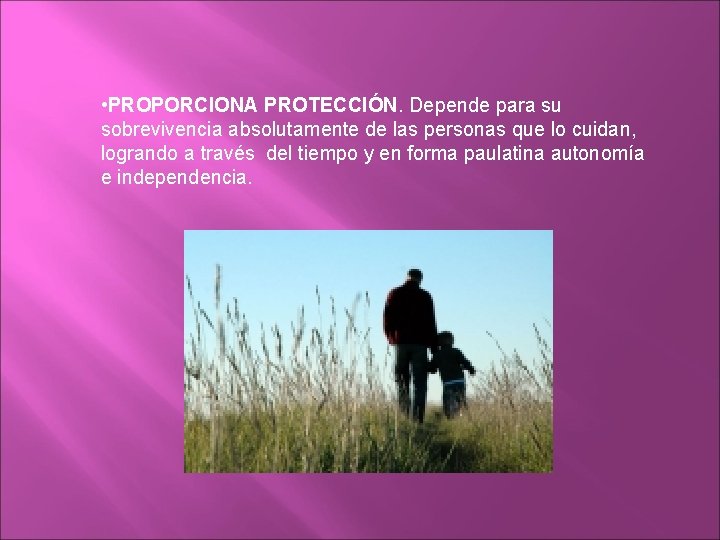  • PROPORCIONA PROTECCIÓN. Depende para su sobrevivencia absolutamente de las personas que lo