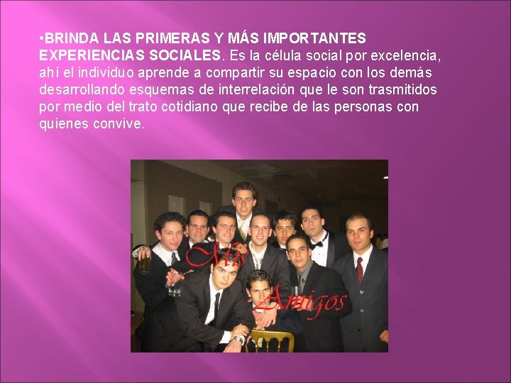  • BRINDA LAS PRIMERAS Y MÁS IMPORTANTES EXPERIENCIAS SOCIALES. Es la célula social