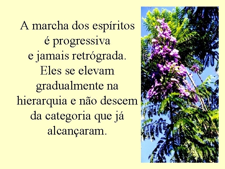 A marcha dos espíritos é progressiva e jamais retrógrada. Eles se elevam gradualmente na