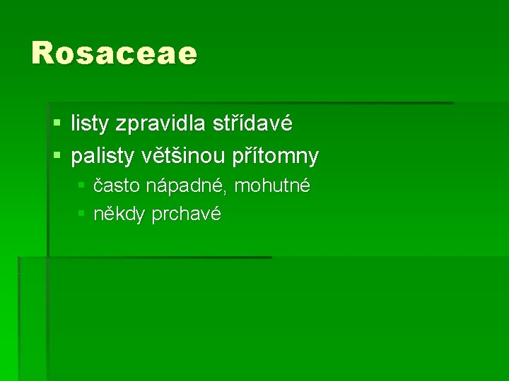 Rosaceae § listy zpravidla střídavé § palisty většinou přítomny § často nápadné, mohutné §