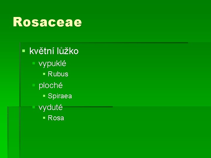 Rosaceae § květní lůžko § vypuklé § Rubus § ploché § Spiraea § vyduté
