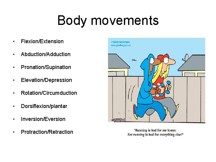 Body movements • Flexion/Extension • Abduction/Adduction • Pronation/Supination • Elevation/Depression • Rotation/Circumduction • Dorsiflexion/plantar