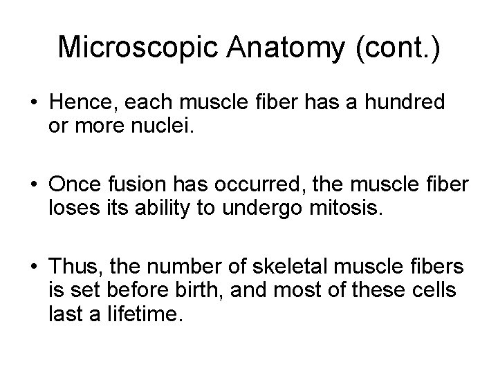 Microscopic Anatomy (cont. ) • Hence, each muscle fiber has a hundred or more