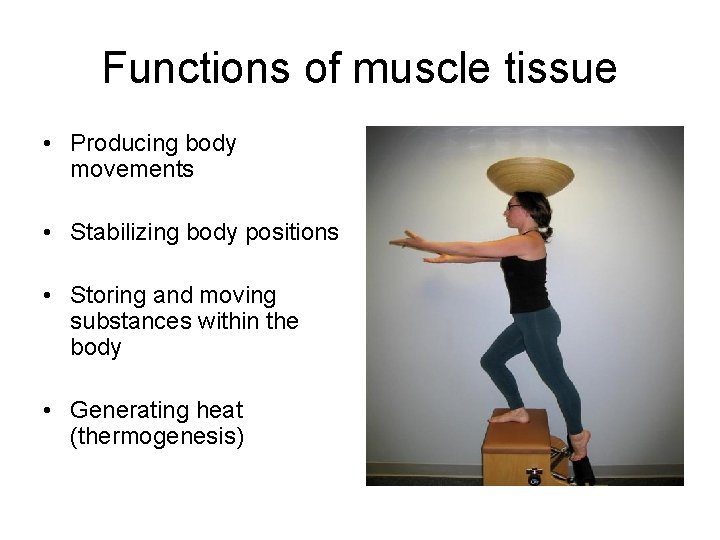 Functions of muscle tissue • Producing body movements • Stabilizing body positions • Storing