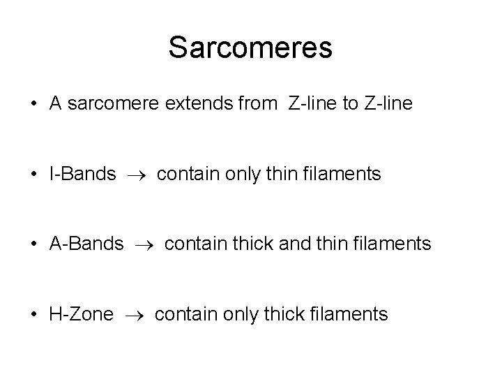 Sarcomeres • A sarcomere extends from Z-line to Z-line • I-Bands contain only thin