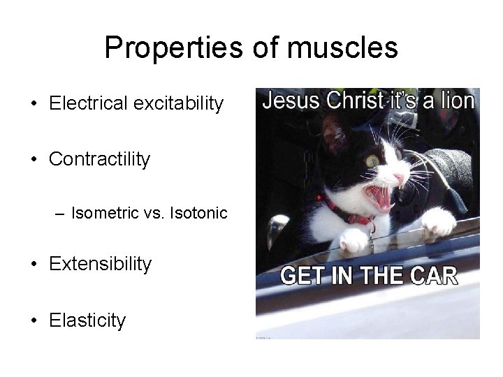 Properties of muscles • Electrical excitability • Contractility – Isometric vs. Isotonic • Extensibility