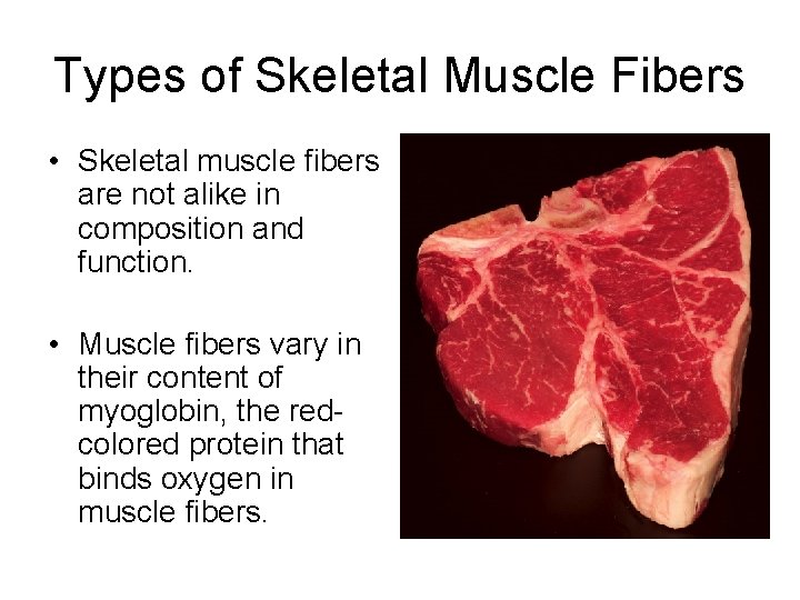 Types of Skeletal Muscle Fibers • Skeletal muscle fibers are not alike in composition