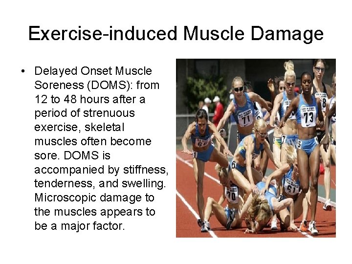 Exercise-induced Muscle Damage • Delayed Onset Muscle Soreness (DOMS): from 12 to 48 hours