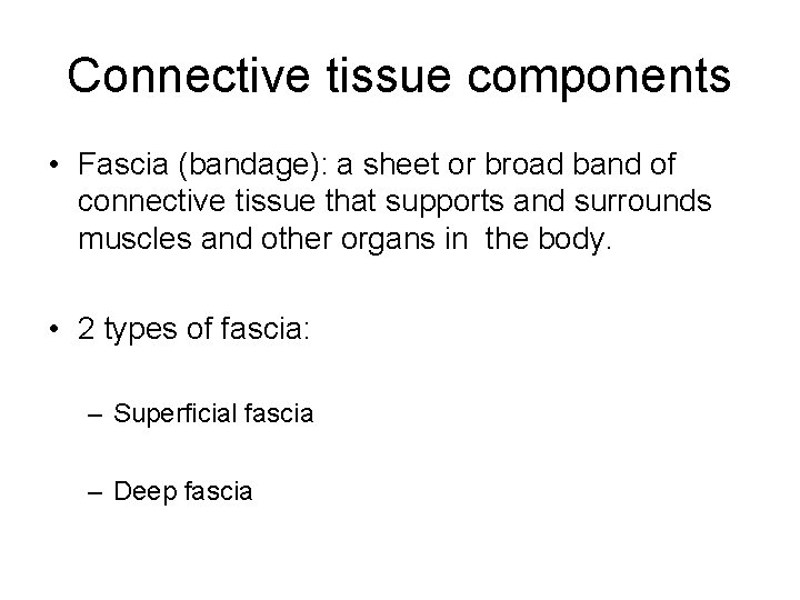 Connective tissue components • Fascia (bandage): a sheet or broad band of connective tissue