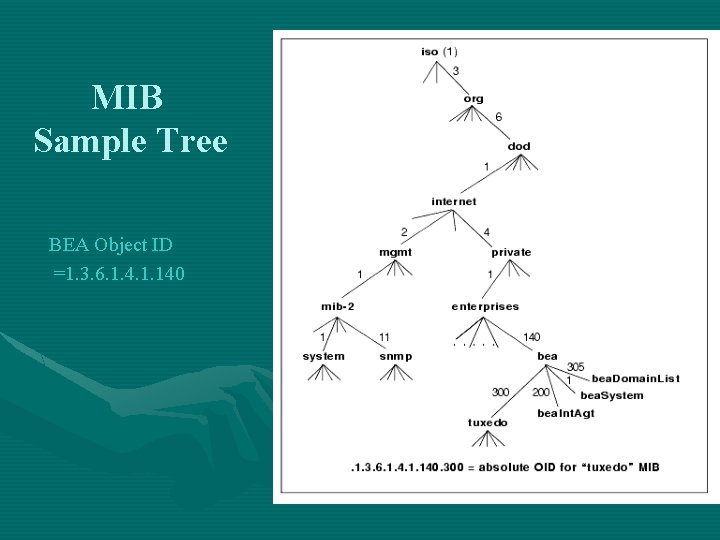 MIB Sample Tree BEA Object ID =1. 3. 6. 1. 4. 1. 140 