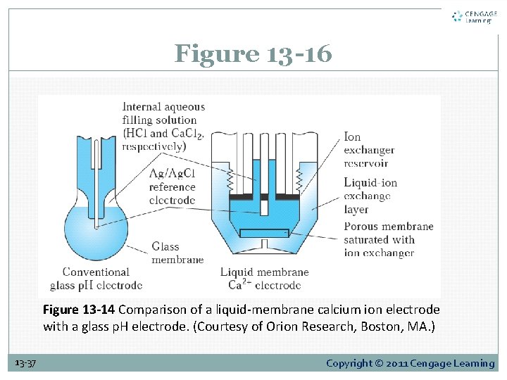 Figure 13 -16 Figure 13 -14 Comparison of a liquid-membrane calcium ion electrode with