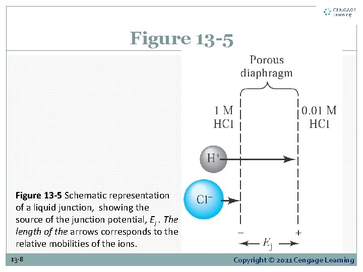 Figure 13 -5 Schematic representation of a liquid junction, showing the source of the