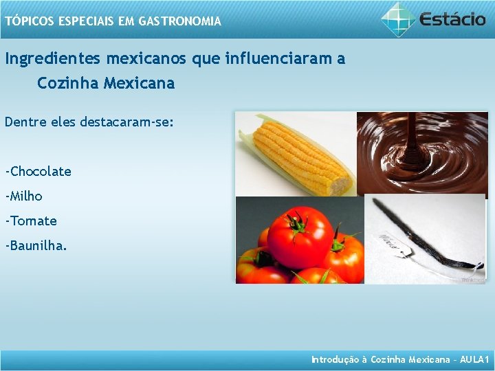 TÓPICOS ESPECIAIS EM GASTRONOMIA Ingredientes mexicanos que influenciaram a Cozinha Mexicana Dentre eles destacaram-se: