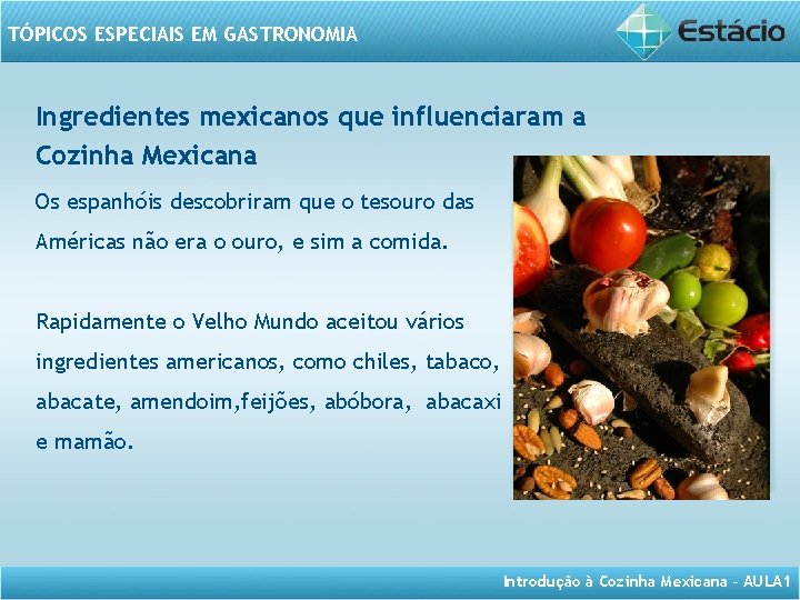 TÓPICOS ESPECIAIS EM GASTRONOMIA Ingredientes mexicanos que influenciaram a Cozinha Mexicana Os espanhóis descobriram