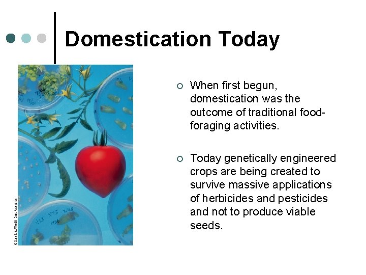 Chapter 10 The Neolithic Transition The Domestication of