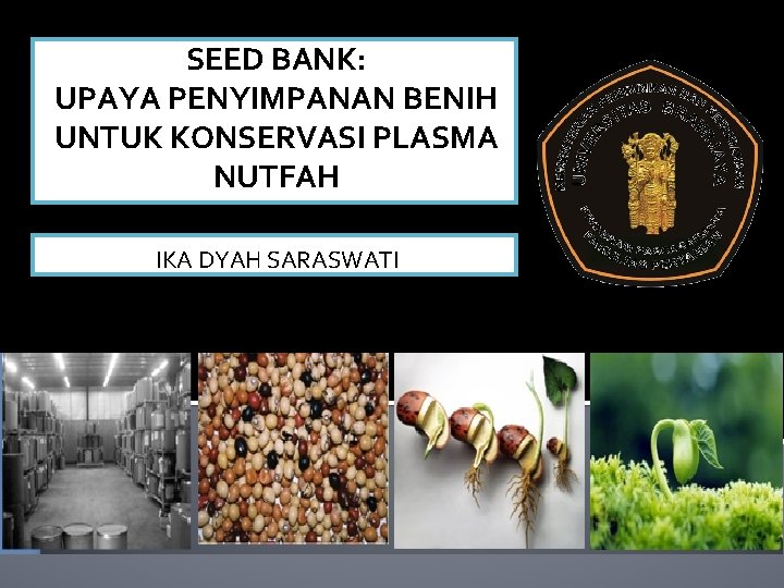 SEED BANK: UPAYA PENYIMPANAN BENIH UNTUK KONSERVASI PLASMA NUTFAH IKA DYAH SARASWATI 