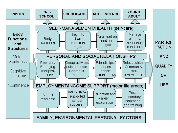 INPUTS PRESCHOOL-AGE ADOLESCENCE YOUNG ADULT SELF-MANAGEMENT/HEALTH (self-care) Body Functions and Structures Motor weakness Cognitive