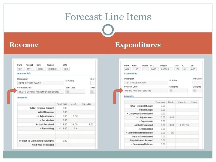 Forecast Line Items Revenue Expenditures 