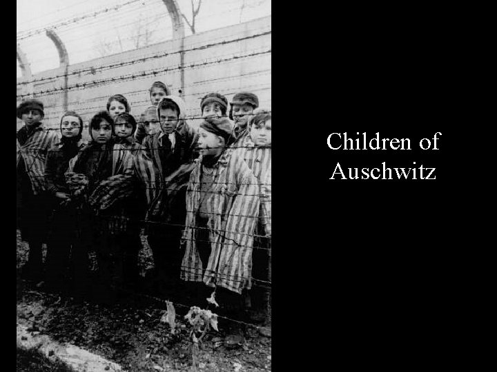 Children of Auschwitz 