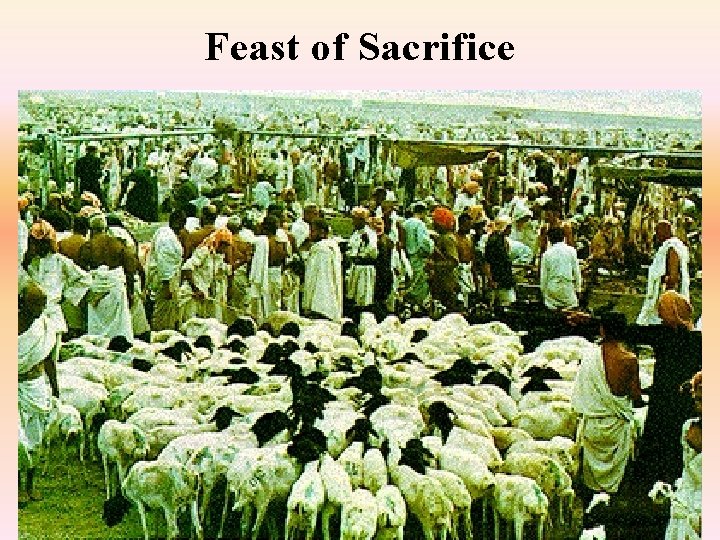 Feast of Sacrifice 