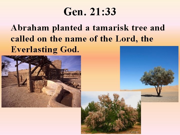 Gen. 21: 33 Abraham planted a tamarisk tree and called on the name of