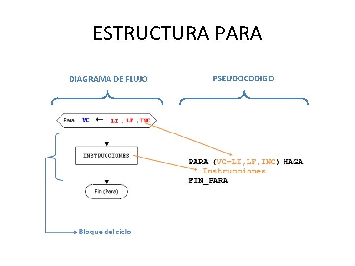 ESTRUCTURA PARA DIAGRAMA DE FLUJO PSEUDOCODIGO 
