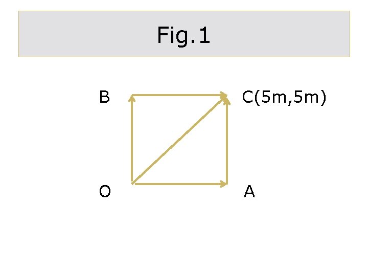 Fig. 1 B C(5 m, 5 m) O A 