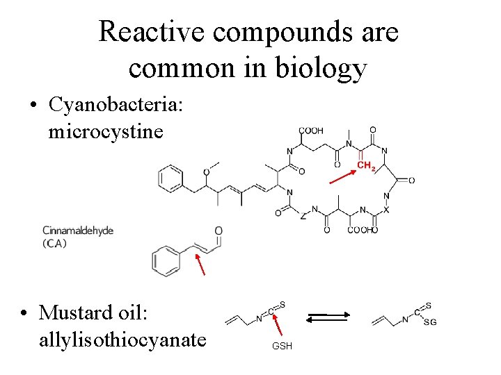 Reactive compounds are common in biology • Cyanobacteria: microcystine • Mustard oil: allylisothiocyanate GSH