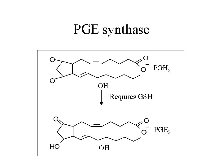 PGE synthase PGH 2 OH Requires GSH PGE 2 OH 