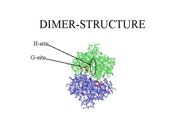 DIMER-STRUCTURE H-site G-site 