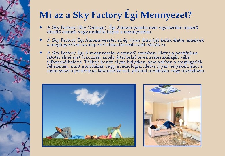 Mi az a Sky Factory Égi Mennyezet? • A Sky Factory (Sky Ceilings )